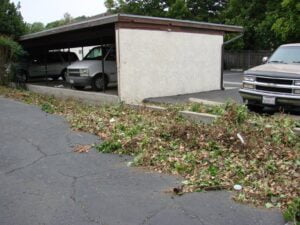 Carport with vehicles and scattered leaves on ground