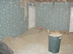 Dusty room with insulation and floral wallpaper peeling off.