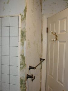 Peeling wall paint near bathroom shower area.